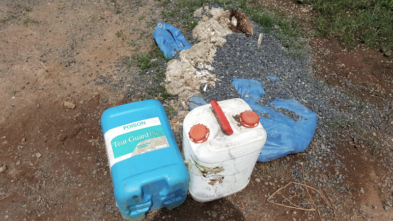 3R Chemicals found dumped on SH27