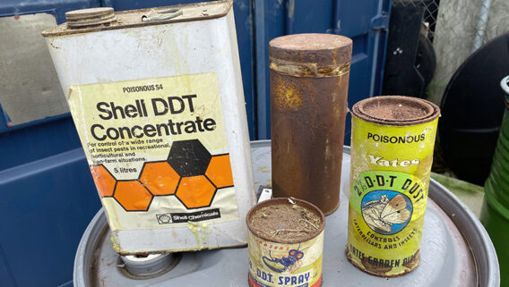 DDT collected by MyHazWaste